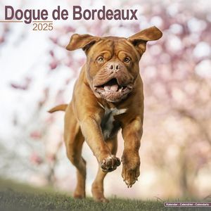 Dogue De Bordeaux 2025 Calendar