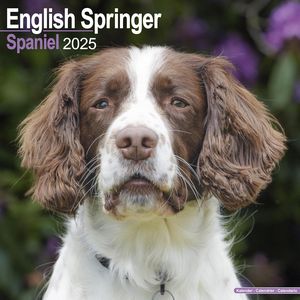 English Springer Spaniel 2025 Calendar
