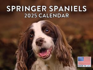 Springer Spaniels 2025 Calendar