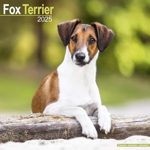 Fox Terrier 2025 Calendar