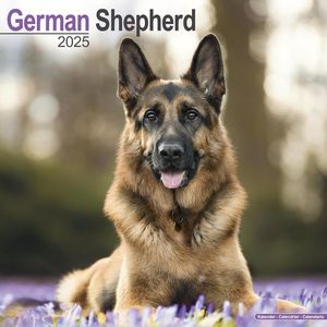 German Shepherd 2025 Calendar