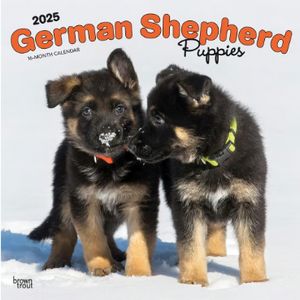 German Shepherd Puppies 2025 Wall Calendar