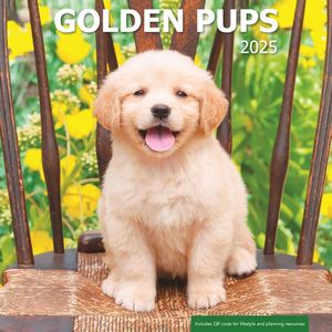 Golden Pups 2025 Calendar