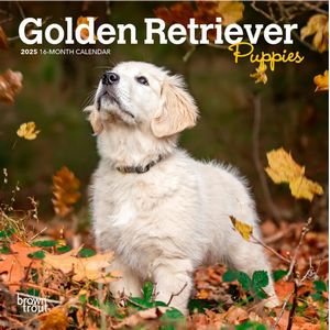 Golden Retriever Puppies 2025 Mini Wall Calendar