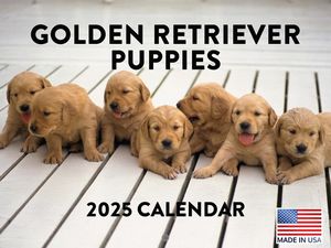 Golden Retriever Puppies 2025 Calendar