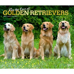 Golden Retrievers Deluxe 2025 Wall Calendar