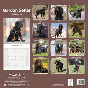 Gordon Setter 2025 Calendar