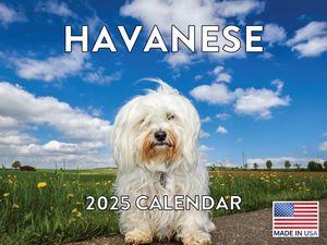 Havanese 2025 Calendar