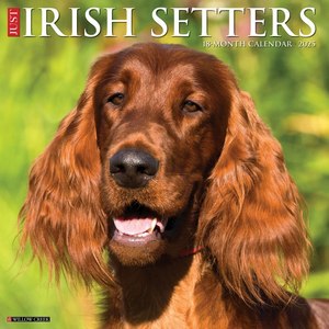 Irish Setters 2025 Calendars