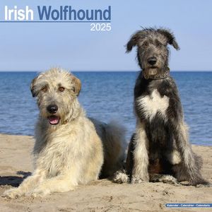 Irish Wolfhound 2025 Calendar