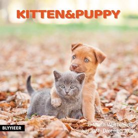 Kitten and Puppy 2025 Calendar