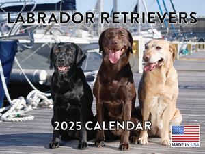 Labrador Retrievers 2025 Calendar