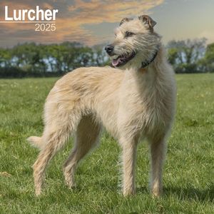 Lurcher 2025 Calendar