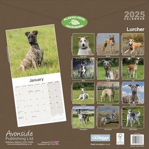 Lurcher 2025 Calendar