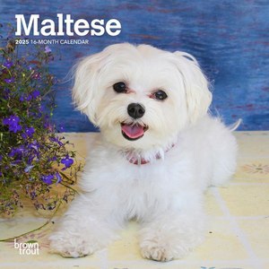 Maltese 2025 Calendar