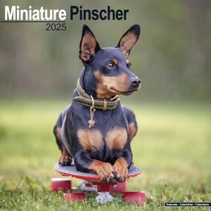 Miniature Pinscher 2025 Calendar