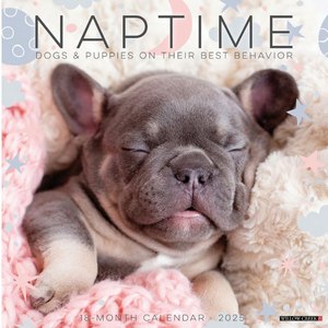 Naptime Dogs & Puppies 2025 Wall Calendar