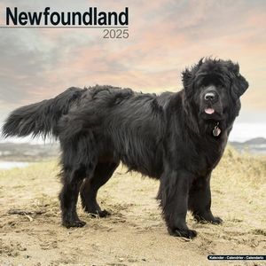 Newfoundland 2025 Calendar
