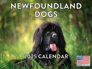 Newfoundland Dogs 2025 Calendar