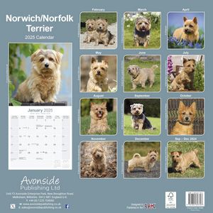 Norfolk Terrier 2025 Calendar