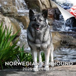 Norwegian Elkhound 2025 Calendar