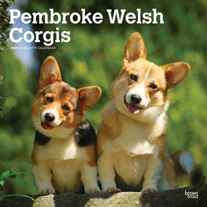 Welsh Corgis Pembroke 2025 Wall Calendar