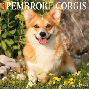 Pembroke Corgis 2025 Calendar