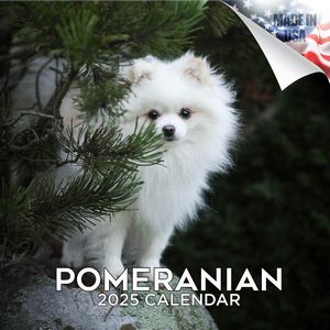 Pomeranian 2025 Calendar