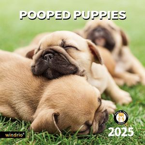 Pooped Puppies 2025 Calendar