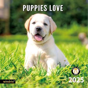 Puppies 2025 Calendar
