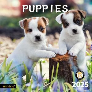 Puppies 2025 Calendar