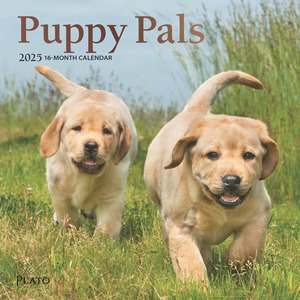 Puppy Pals 2025 Calendar
