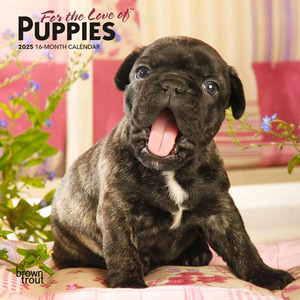 For the Love of Puppies 2025 Mini Wall Calendar