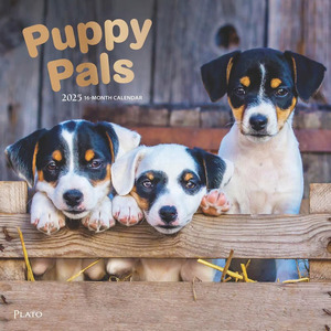 Puppy Pals 2025 Wall Calendar