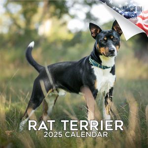 Rat Terrier 2025 Calendar