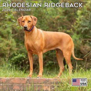 Rhodesian Ridgeback 2025 Calendar