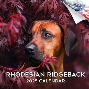 Rhodesian Ridgeback 2025 Calendar