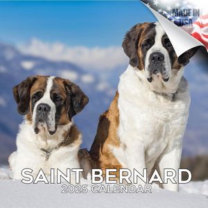 Saint Bernard 2025 Calendar