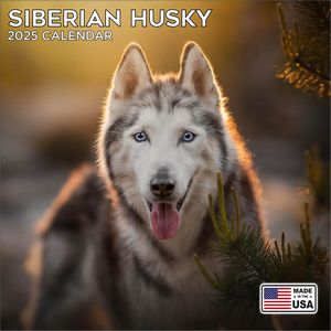 Siberian Husky 2025 Calendar