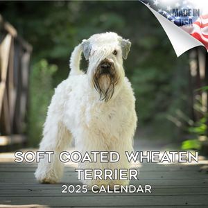 Soft Coated Wheaten Terrier 2025 Calendar