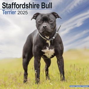 Staffordshire Bull Terrier 2025 Calendar