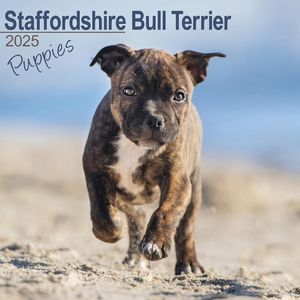 Staffordshire Bull Terrier Puppies 2025 Calendar