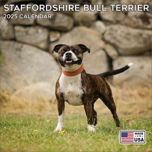 Staffordshire Bull Terrier 2025 Calendar