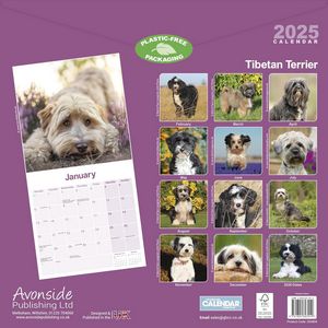 Tibetan Terrier 2025 Calendar