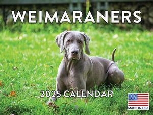 Weimaraners 2025 Calendar