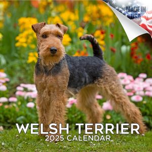 Welsh Terrier 2025 Calendar