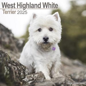 West Highland White Terrier 2025 Calendar