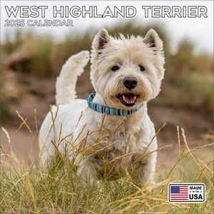 West Highland Terrier 2025 Calendar