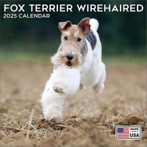 Wire Haired Fox Terrier 2025 Calendar