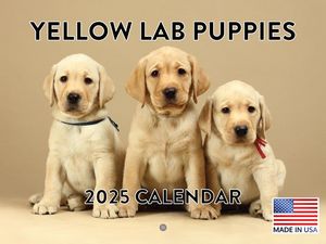 Yellow Lab Puppies 2025 Calendar